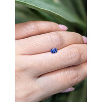 0.54 Ct. Blue Sapphire from Ceylon (Sri Lanka) Life Style