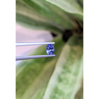 0.54 Ct. Blue Sapphire from Ceylon (Sri Lanka) Life Style