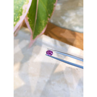 0.62 Ct. Pinkish Purple Sapphire from Ceylon (Sri Lanka) Life Style