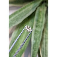 1.10 Ct. Yellowish Green Sapphire from Ceylon (Sri Lanka) Life Style