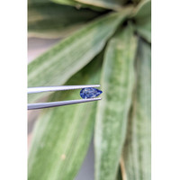 0.73 Ct. Blue Sapphire from Ceylon (Sri Lanka) Life Style