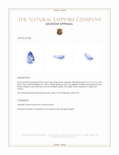 0.90 Ct. Blue Sapphire from Ceylon (Sri Lanka) Appraisal
