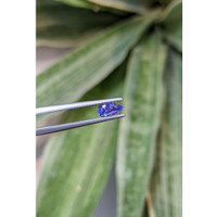 0.82 Ct. Violet Sapphire from Ceylon (Sri Lanka) Life Style