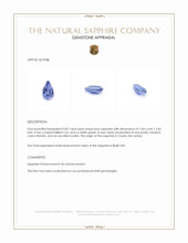 0.87 Ct. Blue Sapphire from Ceylon (Sri Lanka) Appraisal