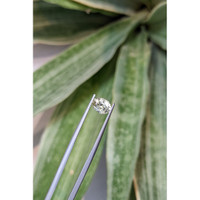 1.97 Ct. Bi Color Sapphire from Ceylon (Sri Lanka) Life Style