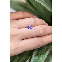 1.15 Ct. Purple Sapphire from Ceylon (Sri Lanka) Life Style