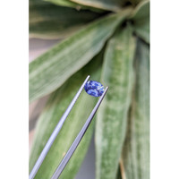 1.39 Ct. Purplish Blue Sapphire from Ceylon (Sri Lanka) Life Style