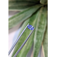 0.87 Ct. Blue Sapphire from Ceylon (Sri Lanka) Life Style