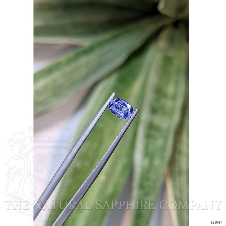 0.87 Ct. Blue Sapphire from Ceylon (Sri Lanka)