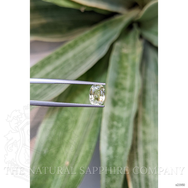 1.96 Ct. Yellow Sapphire from Ceylon (Sri Lanka)