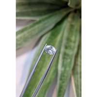 1.52 Ct. White Sapphire from Ceylon (Sri Lanka) Life Style