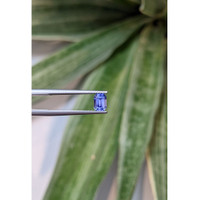 1.01 Ct. Violet Sapphire from Ceylon (Sri Lanka) Life Style
