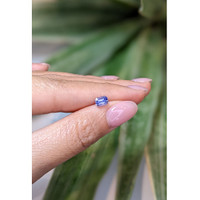 1.01 Ct. Violet Sapphire from Ceylon (Sri Lanka) Life Style