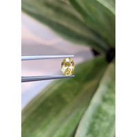1.56 Ct. Yellow Sapphire from Ceylon (Sri Lanka) Life Style