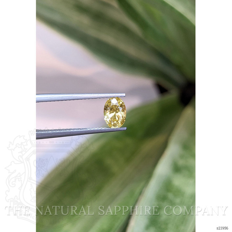 1.56 Ct. Yellow Sapphire from Ceylon (Sri Lanka)
