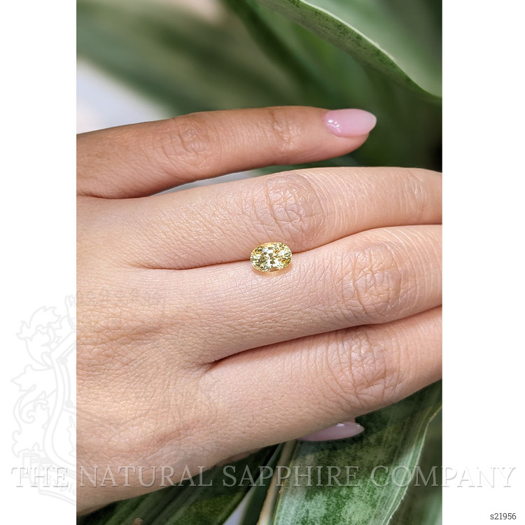 1.56 Ct. Yellow Sapphire from Ceylon (Sri Lanka)