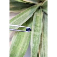 1.19 Ct. Blue Sapphire from Ceylon (Sri Lanka) Life Style