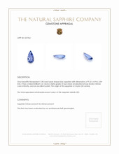 1.08 Ct. Sapphire from Ceylon (Sri Lanka) Appraisal