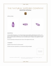 1.19 Ct. Purple Sapphire from Ceylon (Sri Lanka) Appraisal