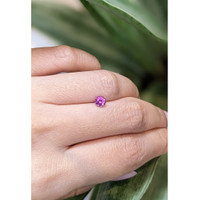 0.61 Ct. Purplish Pink Sapphire from Ceylon (Sri Lanka) Life Style