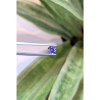0.91 Ct. Purple Sapphire from Ceylon (Sri Lanka) Life Style