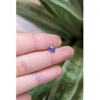 0.85 Ct. Blue Sapphire from Ceylon (Sri Lanka) Life Style