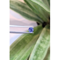 0.85 Ct. Blue Sapphire from Ceylon (Sri Lanka) Life Style