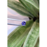 0.69 Ct. Blue Sapphire from Ceylon (Sri Lanka) Life Style