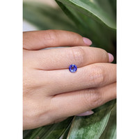 0.69 Ct. Blue Sapphire from Ceylon (Sri Lanka) Life Style