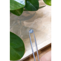 1.65 Ct. Bi Color Sapphire from Ceylon (Sri Lanka) Life Style