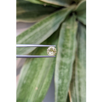 1.40 Ct. Yellow Sapphire from Ceylon (Sri Lanka) Life Style