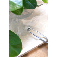 1.86 Ct. Yellow Sapphire from Ceylon (Sri Lanka) Life Style