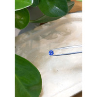 0.86 Ct. Blue Sapphire from Ceylon (Sri Lanka) Life Style
