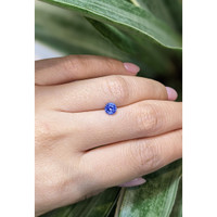 0.88 Ct. Blue Sapphire from Ceylon (Sri Lanka) Life Style