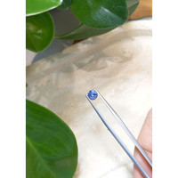 1.13 Ct. Purplish Blue Sapphire from Ceylon (Sri Lanka) Life Style