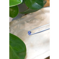 1.23 Ct. Purplish Blue Sapphire from Ceylon (Sri Lanka) Life Style