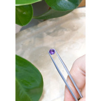 0.65 Ct. Purple Sapphire from Ceylon (Sri Lanka) Life Style