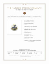 Jewelry Scan Report