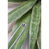 1.53 Ct. Bi Color Sapphire from Ceylon (Sri Lanka) Life Style