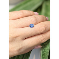 1.15 Ct. Blue Sapphire from Ceylon (Sri Lanka) Life Style