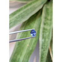 1.15 Ct. Blue Sapphire from Ceylon (Sri Lanka) Life Style