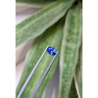 1.22 Ct. Blue Sapphire from Ceylon (Sri Lanka) Life Style