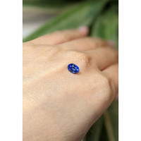 1.22 Ct. Blue Sapphire from Ceylon (Sri Lanka) Life Style