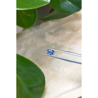 1.26 Ct. Blue Sapphire from Ceylon (Sri Lanka) Life Style