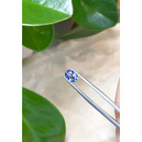 1.14 Ct. Blue Sapphire from Ceylon (Sri Lanka) Life Style