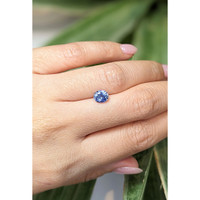 1.11 Ct. Blue Sapphire from Ceylon (Sri Lanka) Life Style