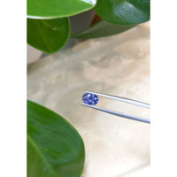 1.19 Ct. Blue Sapphire from Ceylon (Sri Lanka) Life Style