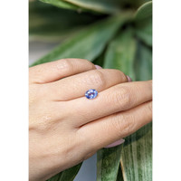 1.32 Ct. Blue Sapphire from Ceylon (Sri Lanka) Life Style