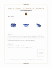 1.17 Ct. Blue Sapphire from Ceylon (Sri Lanka) Appraisal