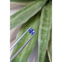 1.17 Ct. Blue Sapphire from Ceylon (Sri Lanka) Life Style